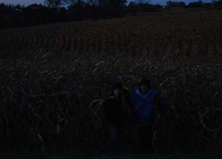Children of the corn