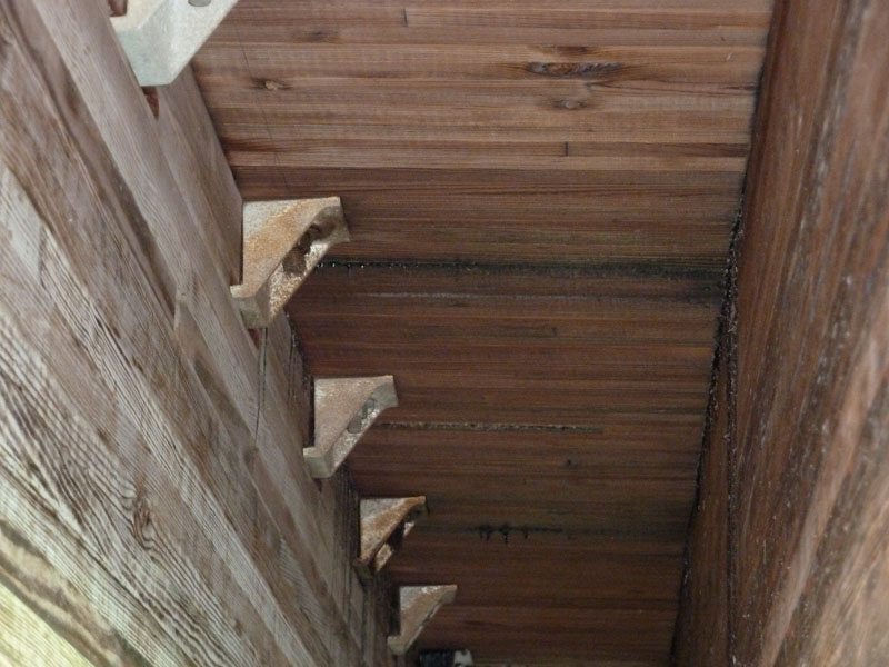 P1010386